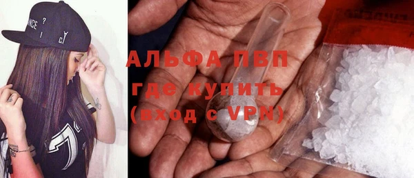 прущие грибы Иннополис