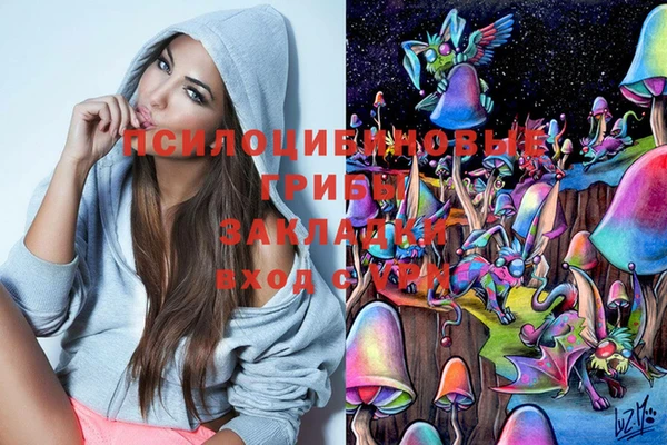 прущие грибы Иннополис