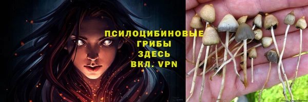хмурый Каменск-Шахтинский