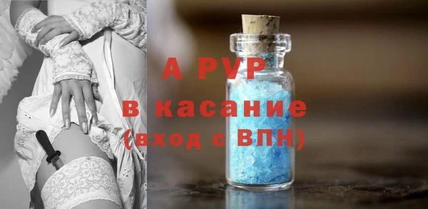 прущие грибы Иннополис