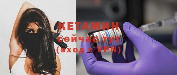 прущие грибы Елизово