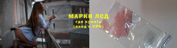 прущие грибы Иннополис