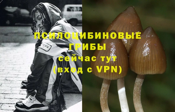 альфа пвп Усолье-Сибирское