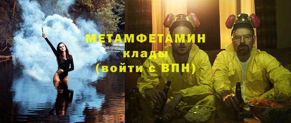 прущие грибы Ельня