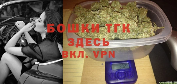 ешки Инта