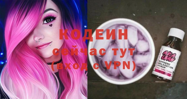 ешки Инта