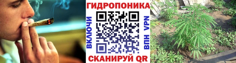 Марихуана сатива  купить наркотики цена  Уржум 